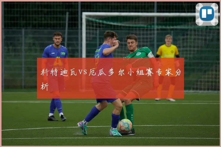 科特迪瓦vs厄瓜多尔小组赛专家分析