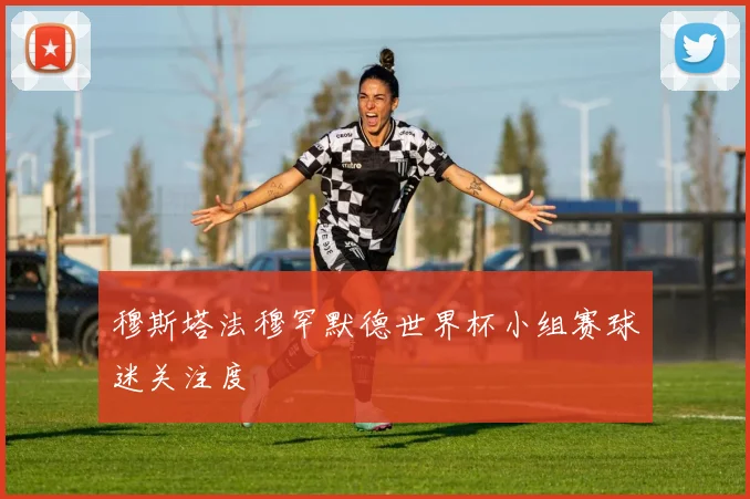 穆斯塔法穆罕默德世界杯小组赛球迷关注度