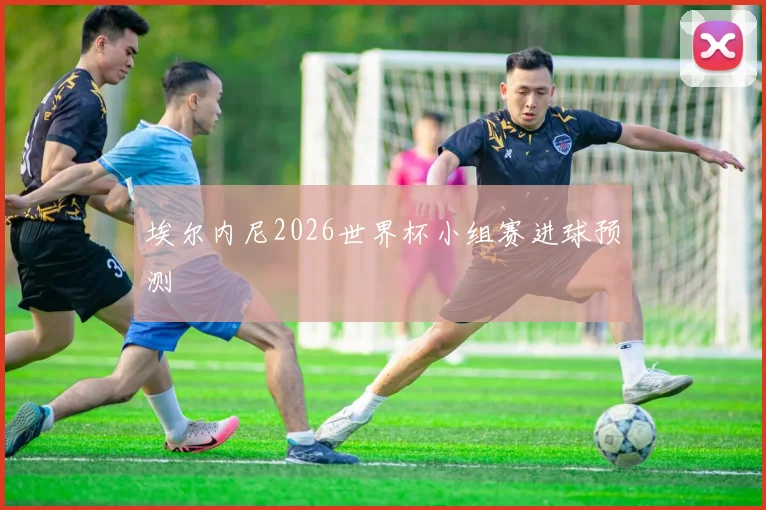 埃尔内尼2026世界杯小组赛进球预测