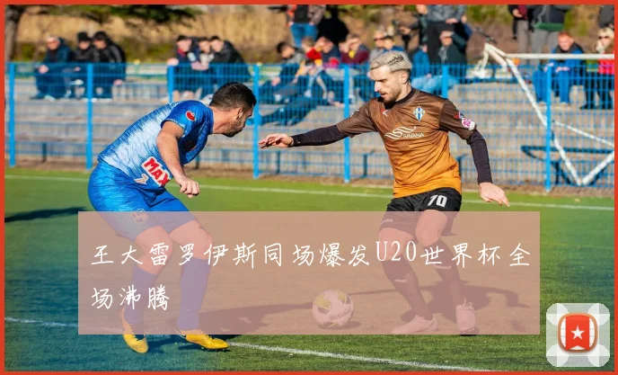 王大雷罗伊斯同场爆发U20世界杯全场沸腾