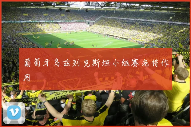 葡萄牙乌兹别克斯坦小组赛老将作用
