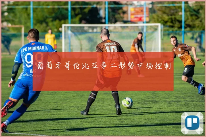 葡萄牙哥伦比亚争二形势中场控制