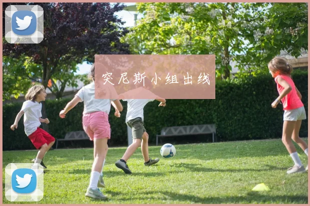 突尼斯小组出线
