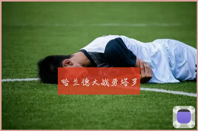 哈兰德大战劳塔罗