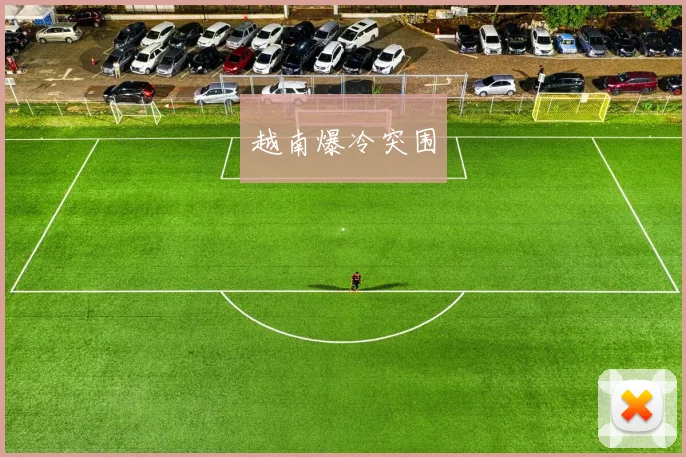 越南爆冷突围