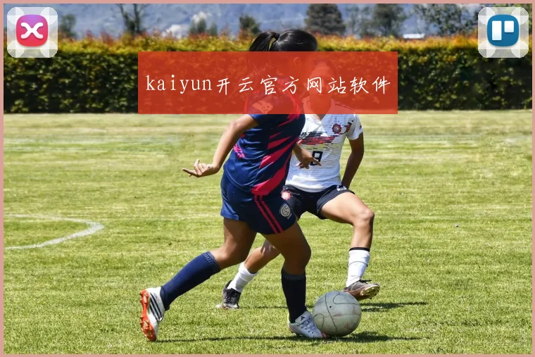 kaiyun开云官方网站软件