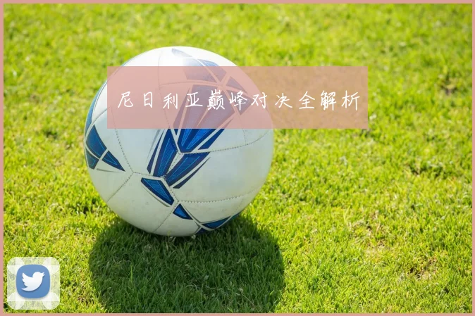 尼日利亚巅峰对决全解析