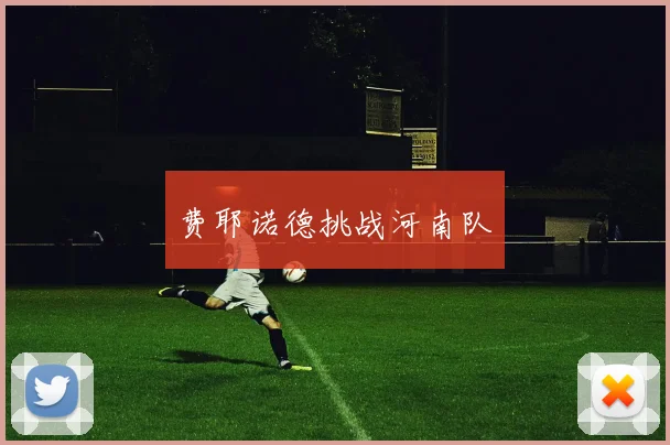 费耶诺德挑战河南队