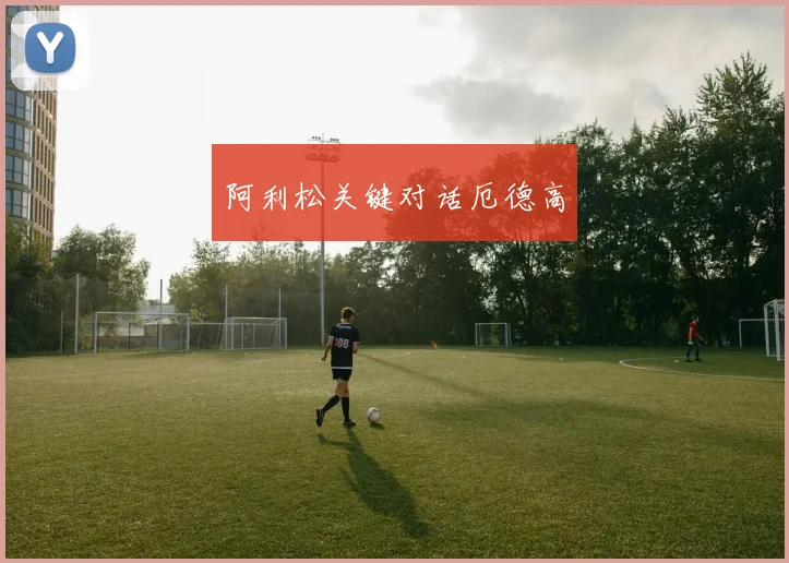 阿利松关键对话厄德高