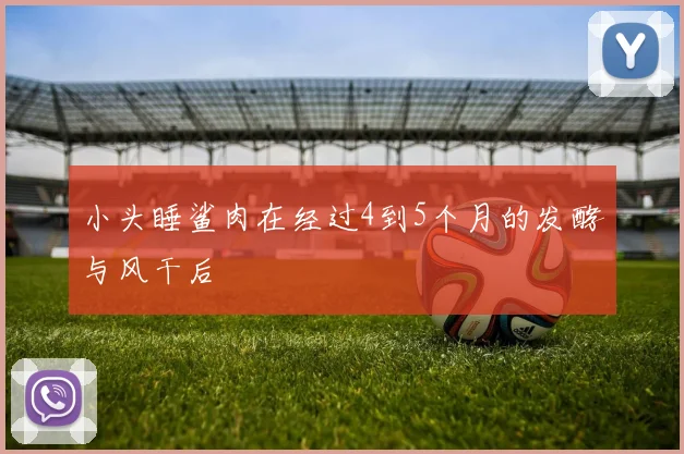 小头睡鲨肉在经过4到5个月的发酵与风干后