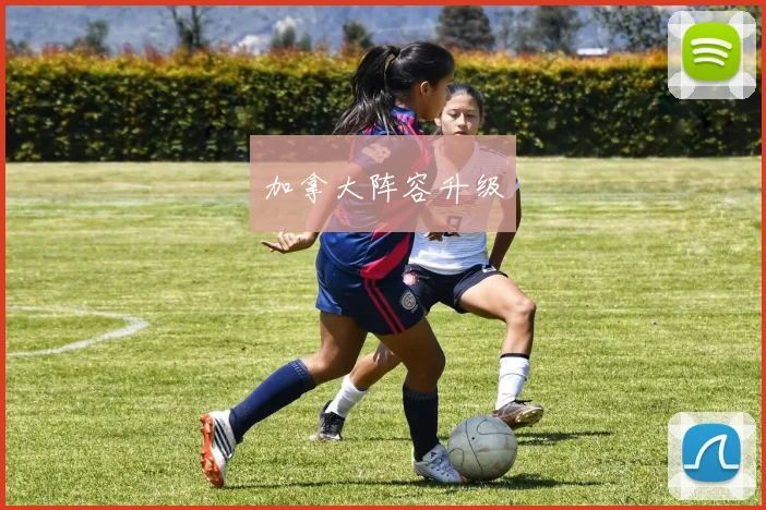加拿大阵容升级