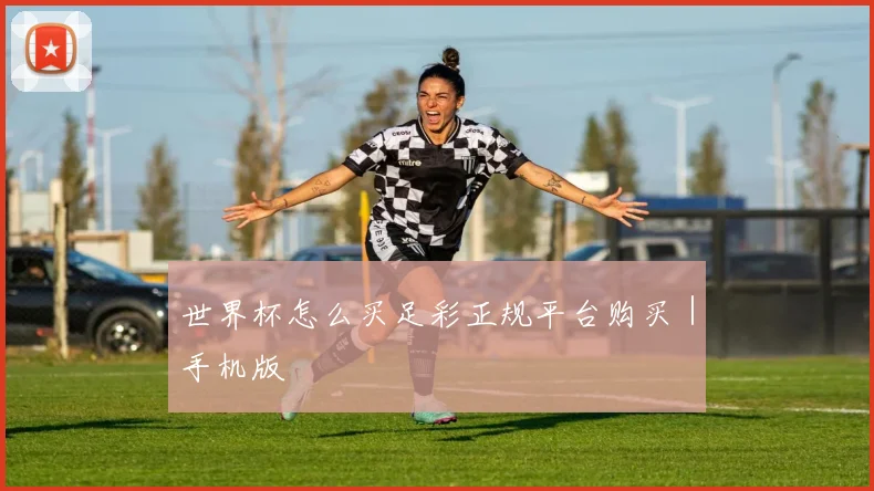 世界杯怎么买足彩正规平台购买｜手机版