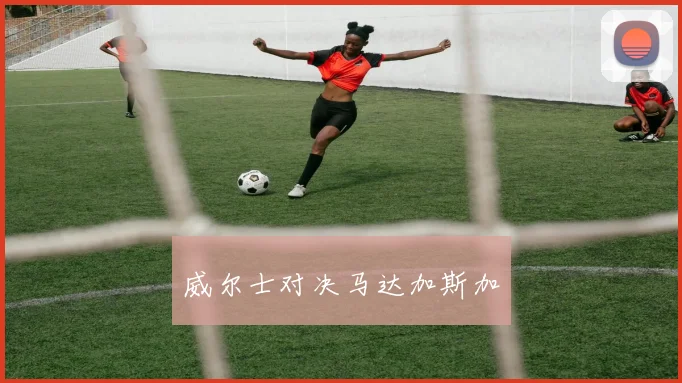 威尔士对决马达加斯加