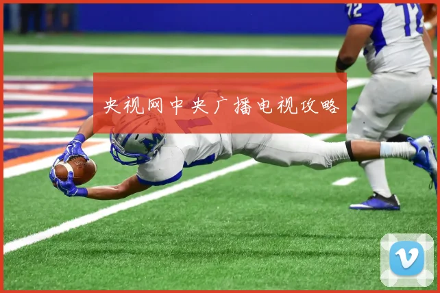 央视网中央广播电视攻略