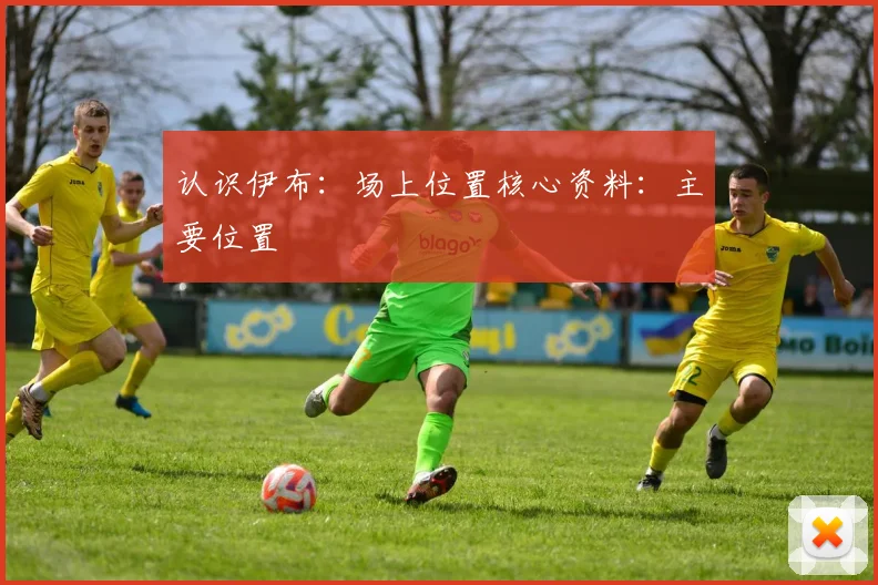 认识伊布：场上位置核心资料：主要位置